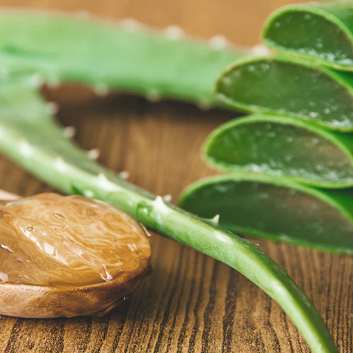 Aloe